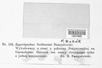 Image Associated With the Occurence
